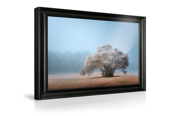 2024_07_30_090618_KlassiekNLschilderij|Picfeewanddecoratie.webp